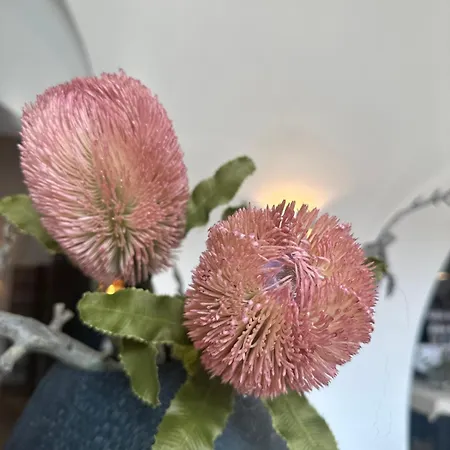 Hotel Schloss Ort Passau