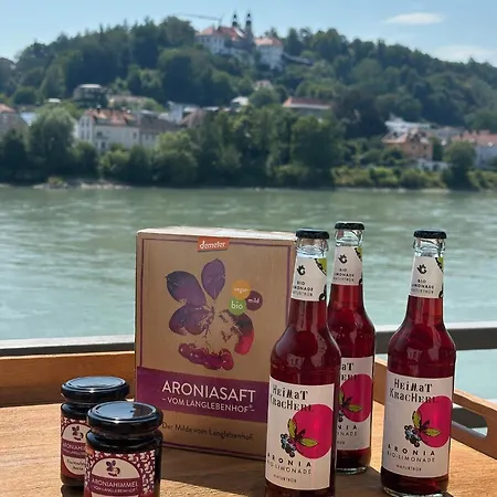 Hotel Schloß Ort Passau