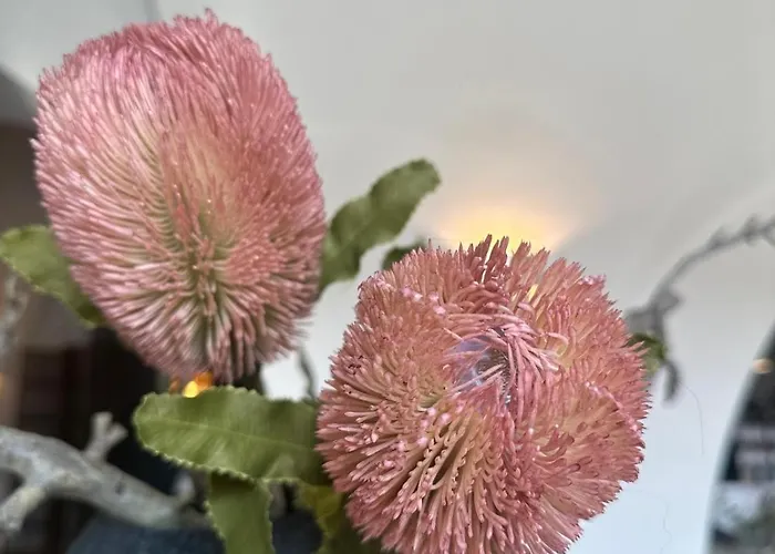 Hotel Schloß Ort Passau